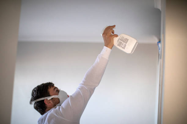 Best Affordable Mold Removal  in Bellevue, ID