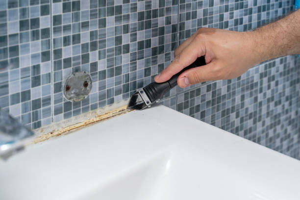 Best Toxic Mold Removal  in Bellevue, ID